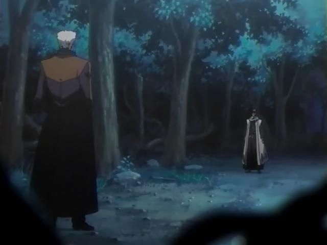 Otaku Gallery  / Anime e Manga / Bleach / Screen Shots / Episodi / 095 - Byakuya prende il campo - Ballo del vento dei fiori di ciliegio / 020.jpg